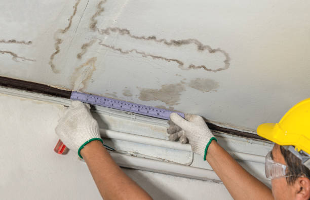 Reliable Basement Water Removal contractor in Barnesville, OH by Water Damage Irwin